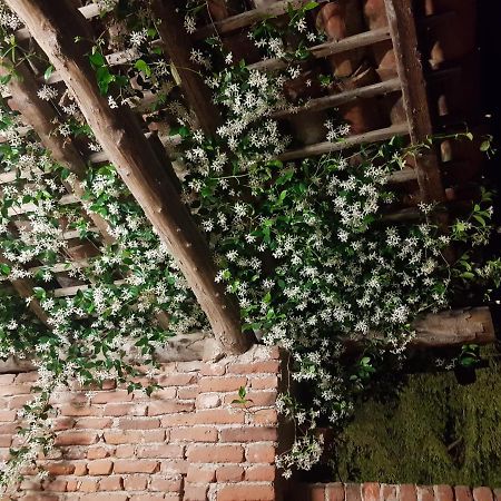 Az.Agr.Cascina Moretta Momo Екстер'єр фото