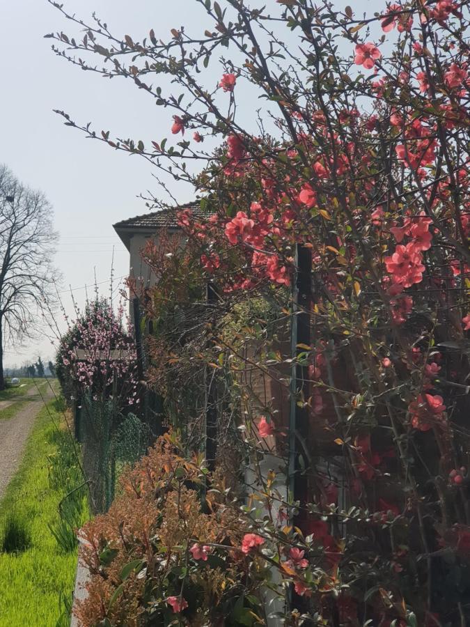 Az.Agr.Cascina Moretta Momo Екстер'єр фото