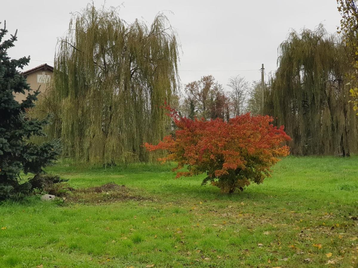 Az.Agr.Cascina Moretta Momo Екстер'єр фото
