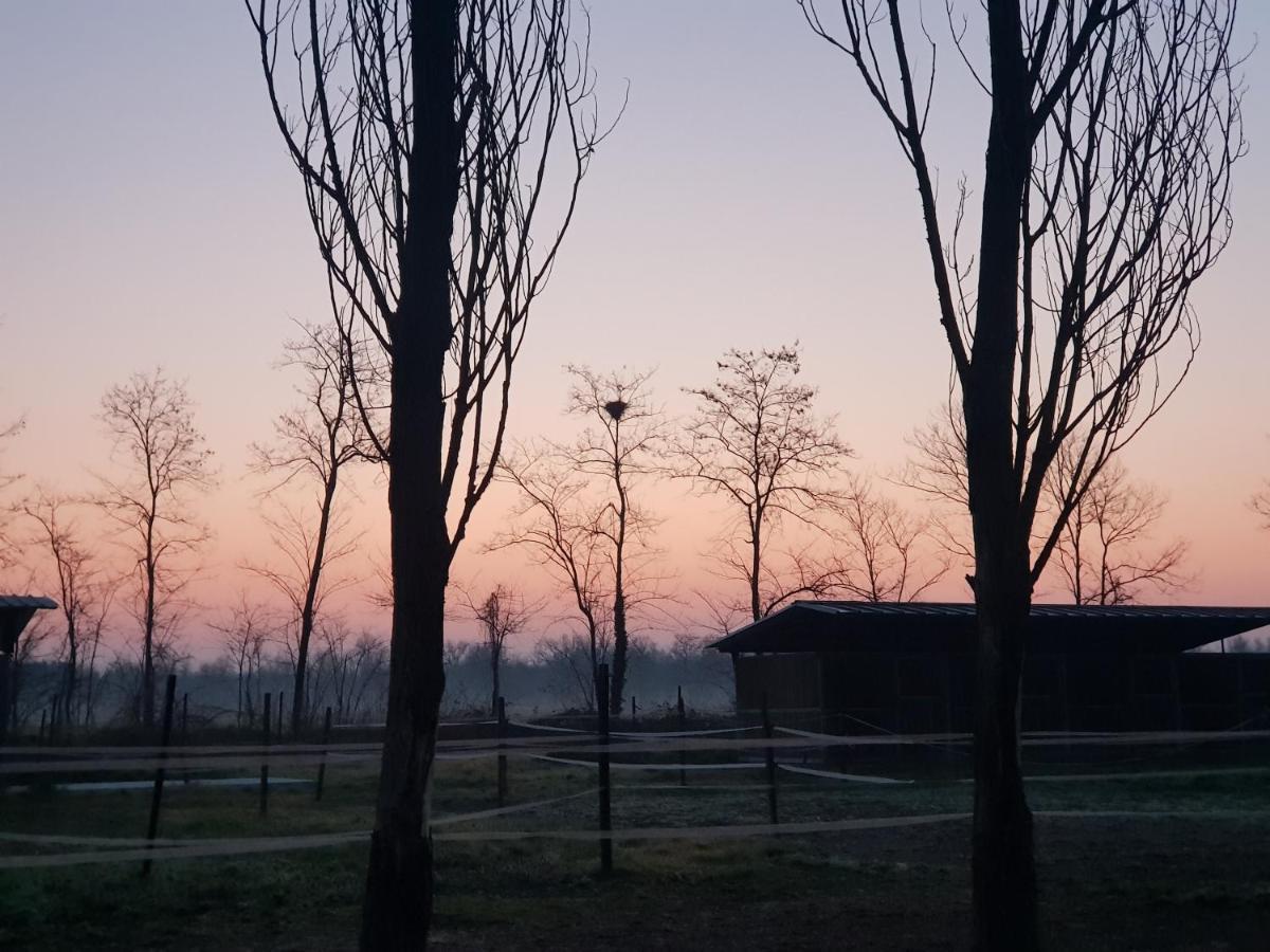Az.Agr.Cascina Moretta Momo Екстер'єр фото