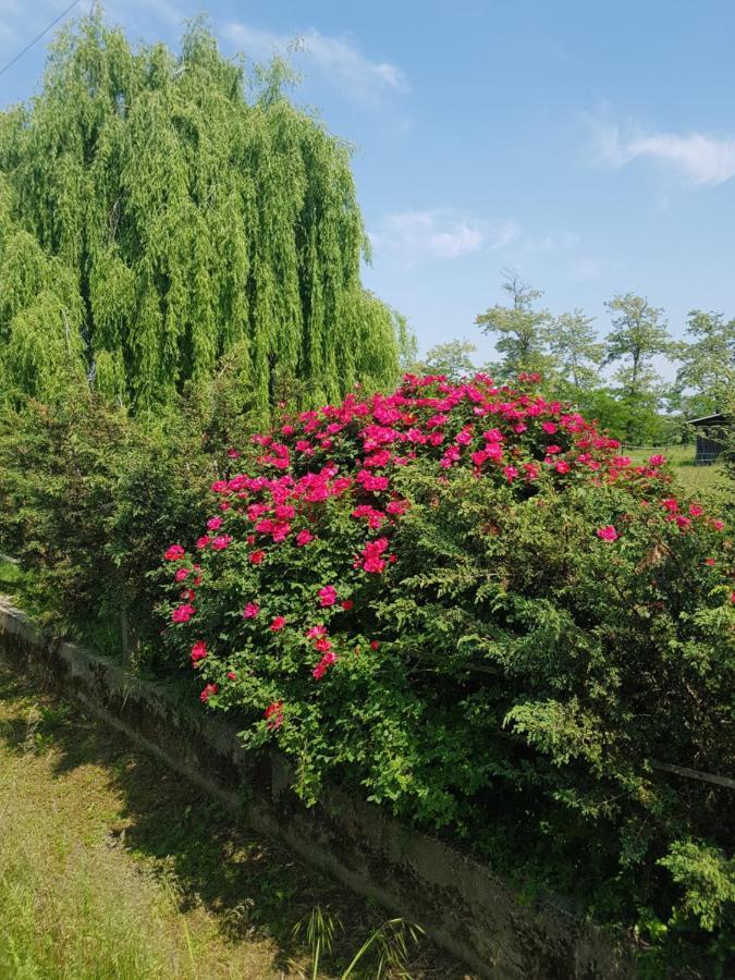 Az.Agr.Cascina Moretta Momo Екстер'єр фото
