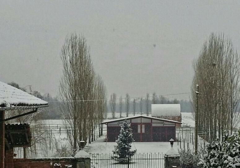 Az.Agr.Cascina Moretta Momo Екстер'єр фото