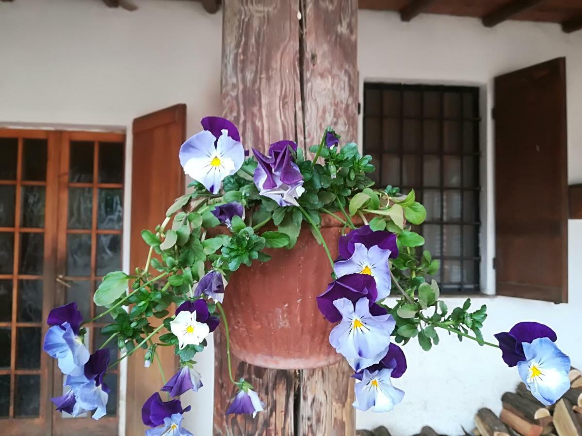 Az.Agr.Cascina Moretta Momo Екстер'єр фото