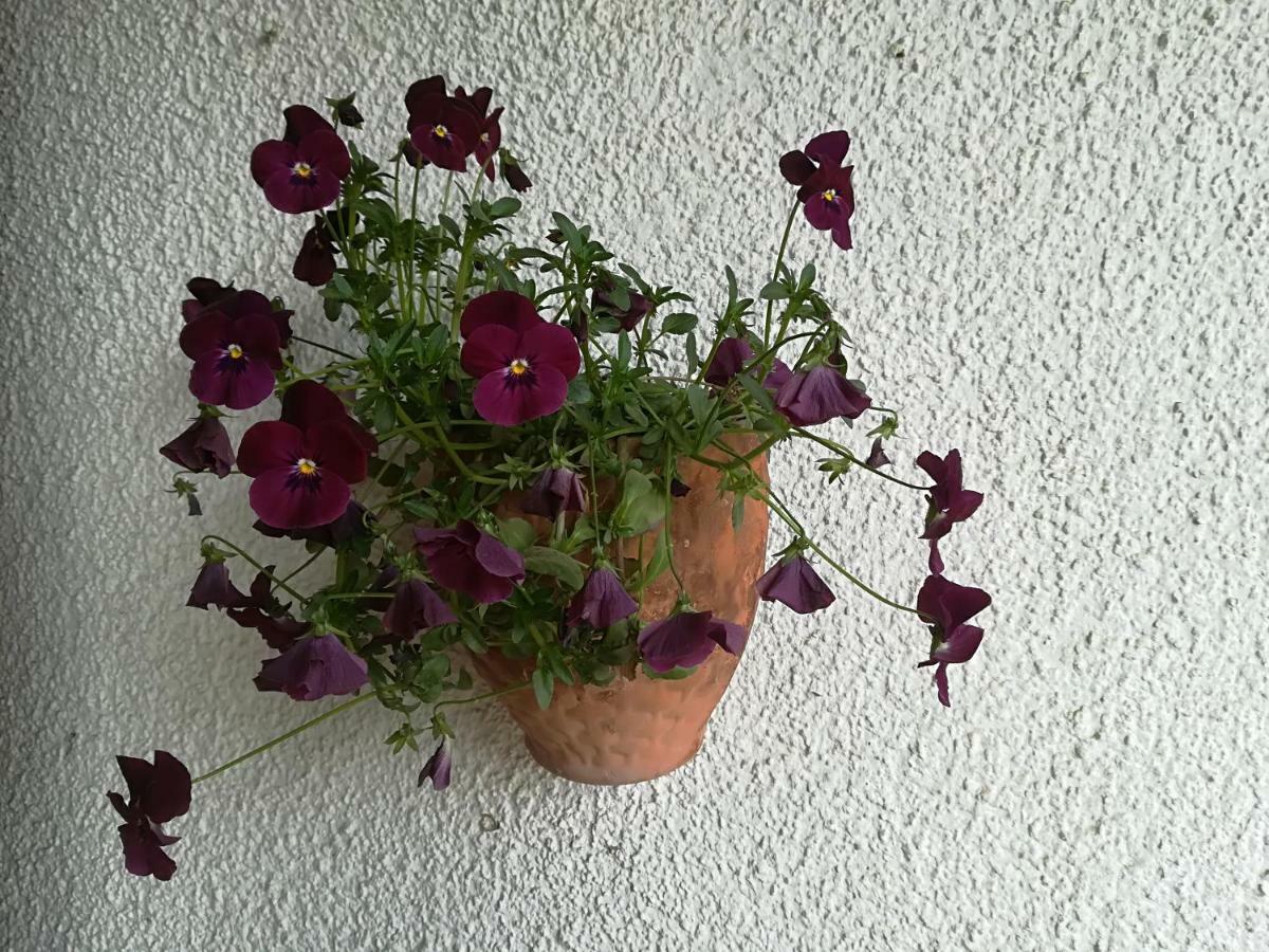 Az.Agr.Cascina Moretta Momo Екстер'єр фото