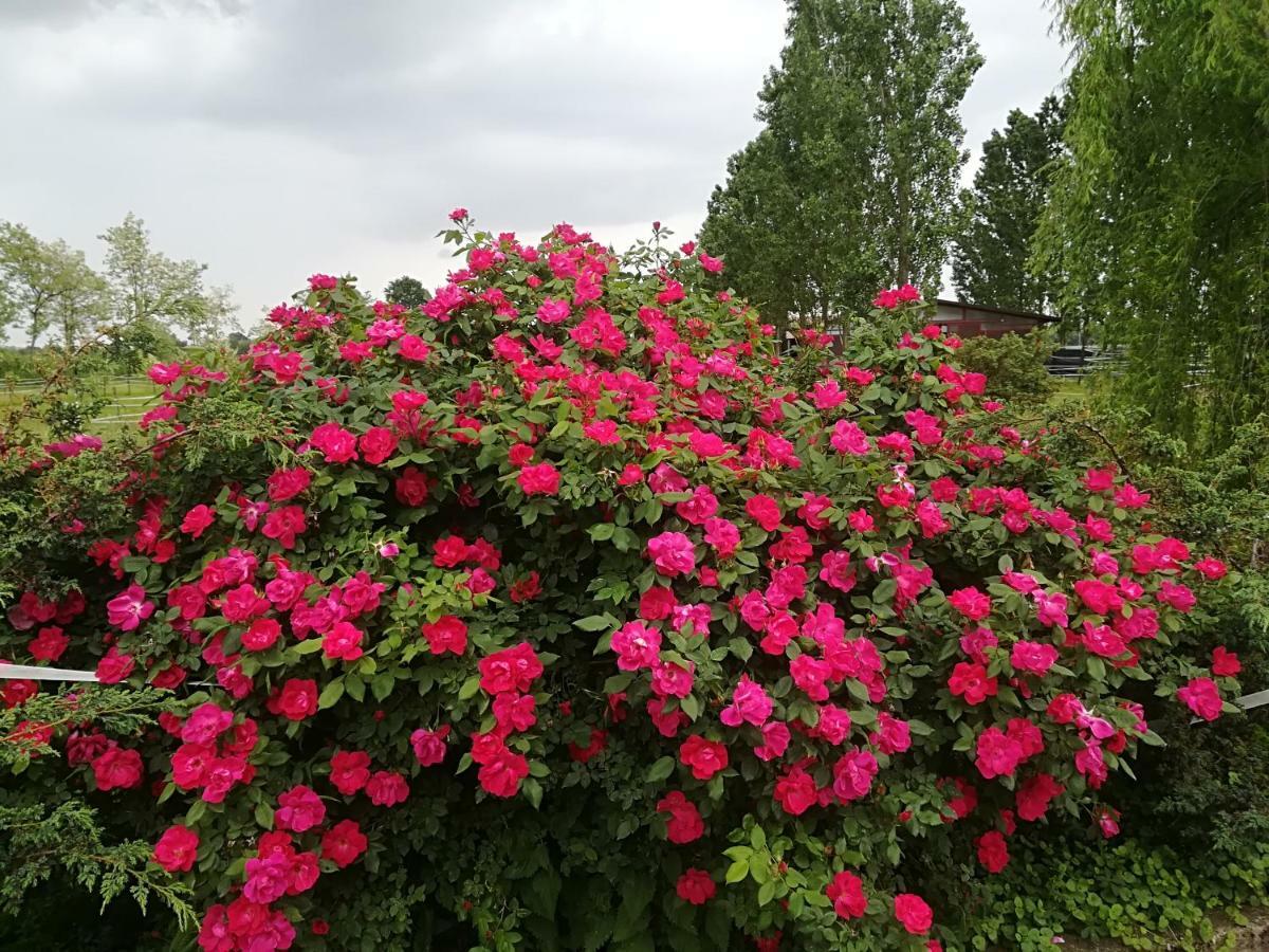 Az.Agr.Cascina Moretta Momo Екстер'єр фото
