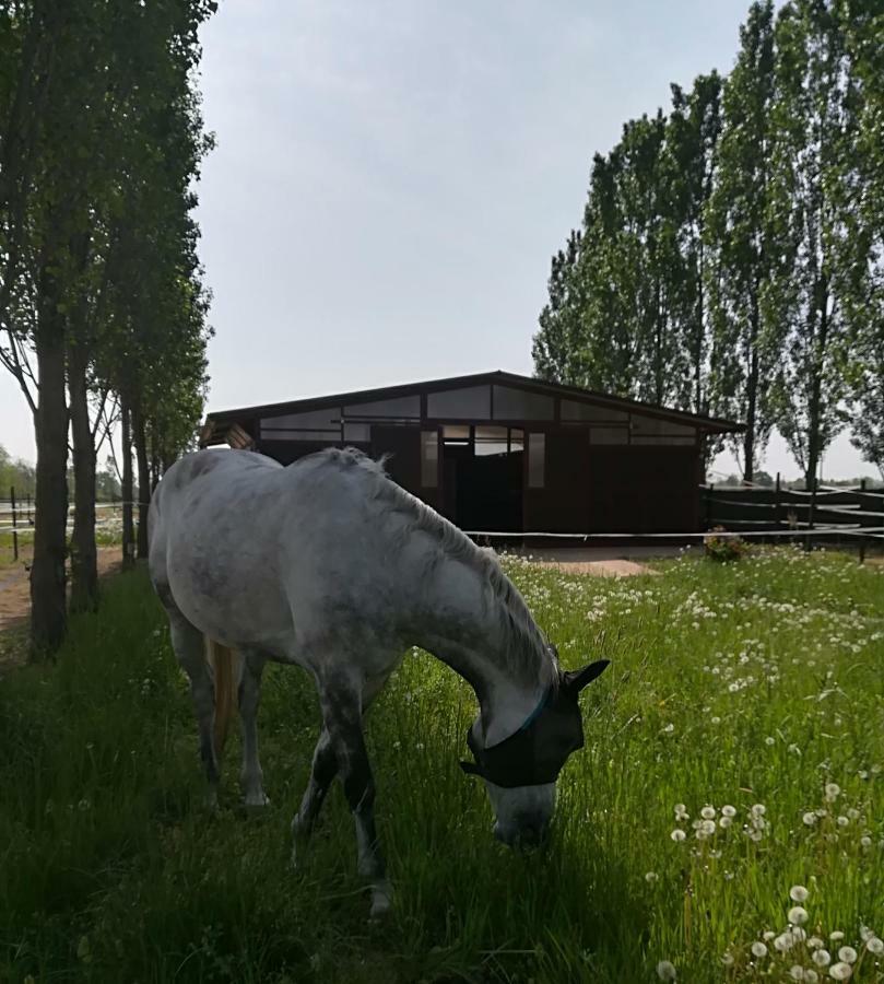 Az.Agr.Cascina Moretta Momo Екстер'єр фото