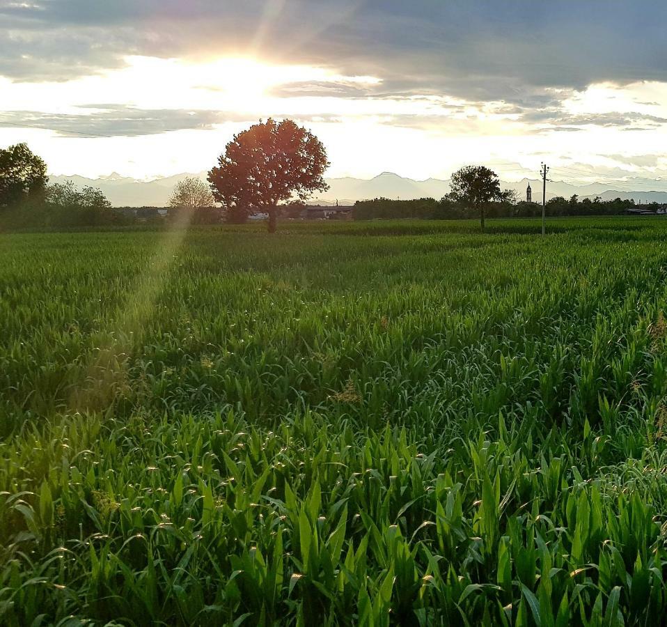 Az.Agr.Cascina Moretta Momo Екстер'єр фото